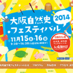 [ お仕事 ] 大阪自然史フェスティバル2014@大阪市立自然史博物館 Webサイト
